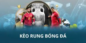 Phân Loại Kèo Rung Phổ Biến: Toàn Diện Từ A Đến Z