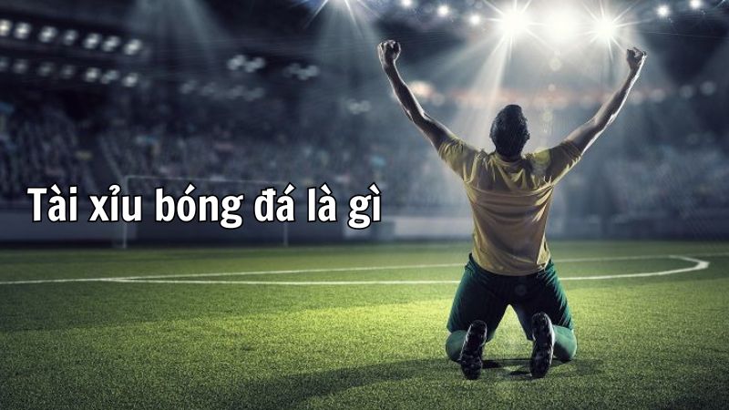 Kèo Tài Xỉu Là Gì? Giải Mã AZ Cho Người Mới Bắt Đầu